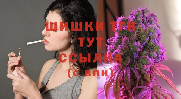 прущие грибы Армянск