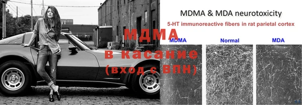 прущие грибы Армянск