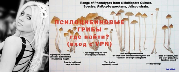 бутик Аркадак