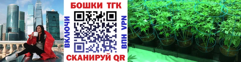 сайты даркнета наркотические препараты  закладки  Судак  МАРИХУАНА SATIVA & INDICA 